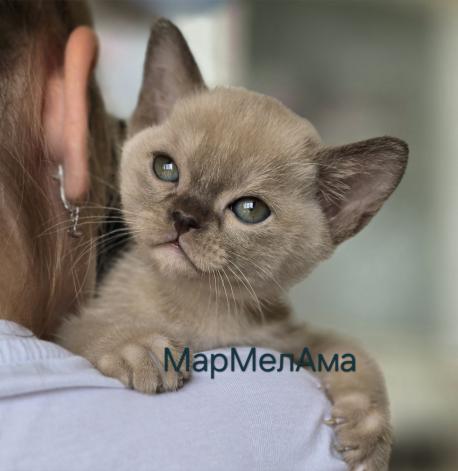 04.08.2025  2 мальчика