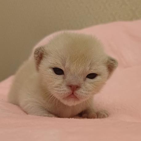 Мальчик Ilan