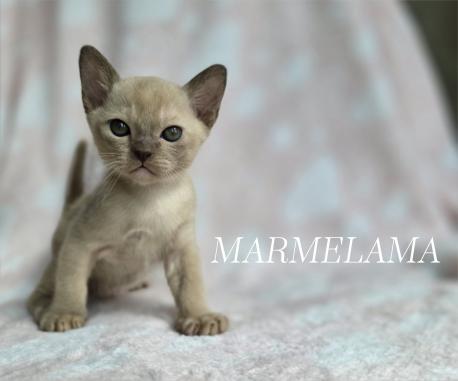 Мальчик