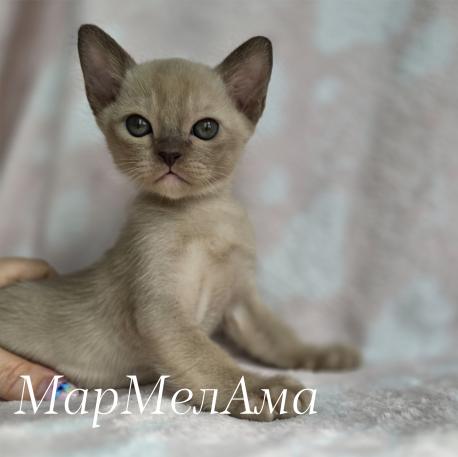 Мальчик