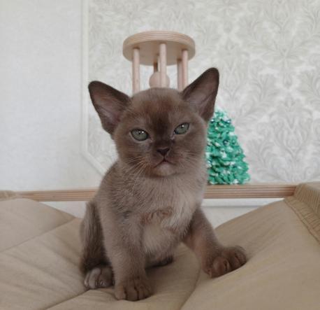 мальчик Gary