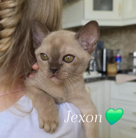 Мальчик Jaxon